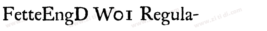 FetteEngD W01 Regula字体转换